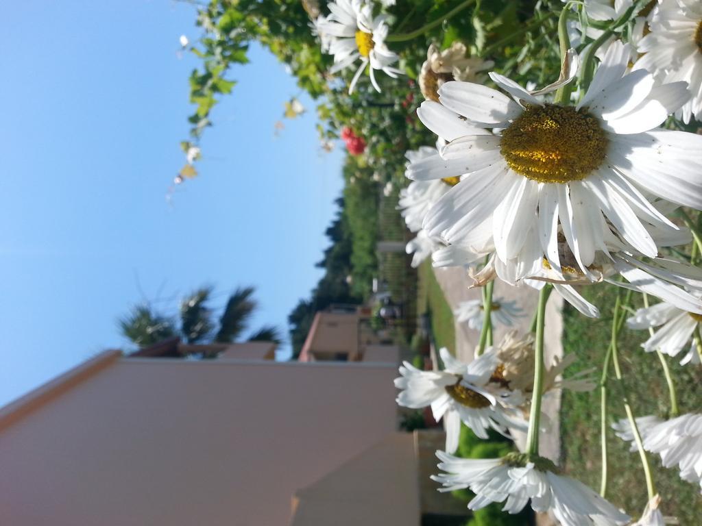 Feakes Apartments Arillas (Corfu) Exterior foto